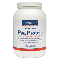 PEA PROTEIN 750GR