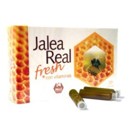 JALEA REAL FRESH 20AMP