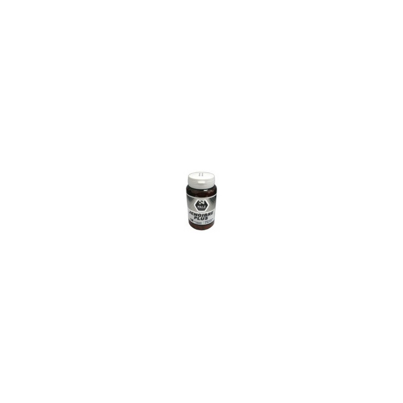 JENGIBRE PLUS 400MG