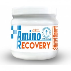 AMINO RECOVERY 260GR ( NUTRISPORT)