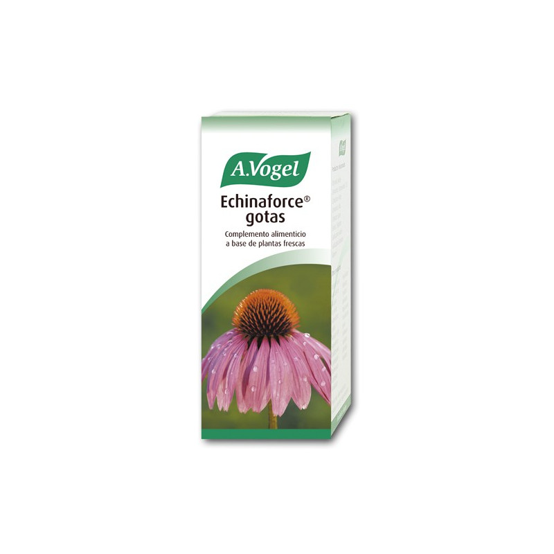 ECHINAFORCE 100ML