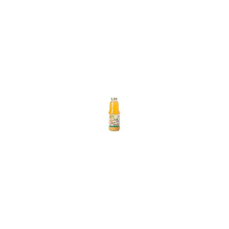 ZUMO PIÑA 1L (Cal Valls)