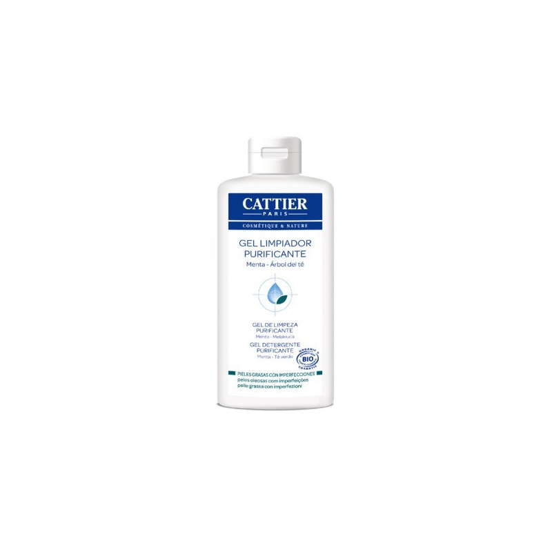 GEL LIMPIADOR PURIFICANTE CON TEA 200ML (CATTIER)