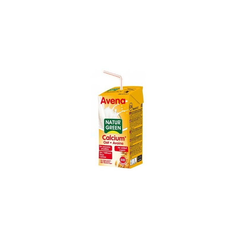 BEBIDA AVENA 200ML (Naturgreen)