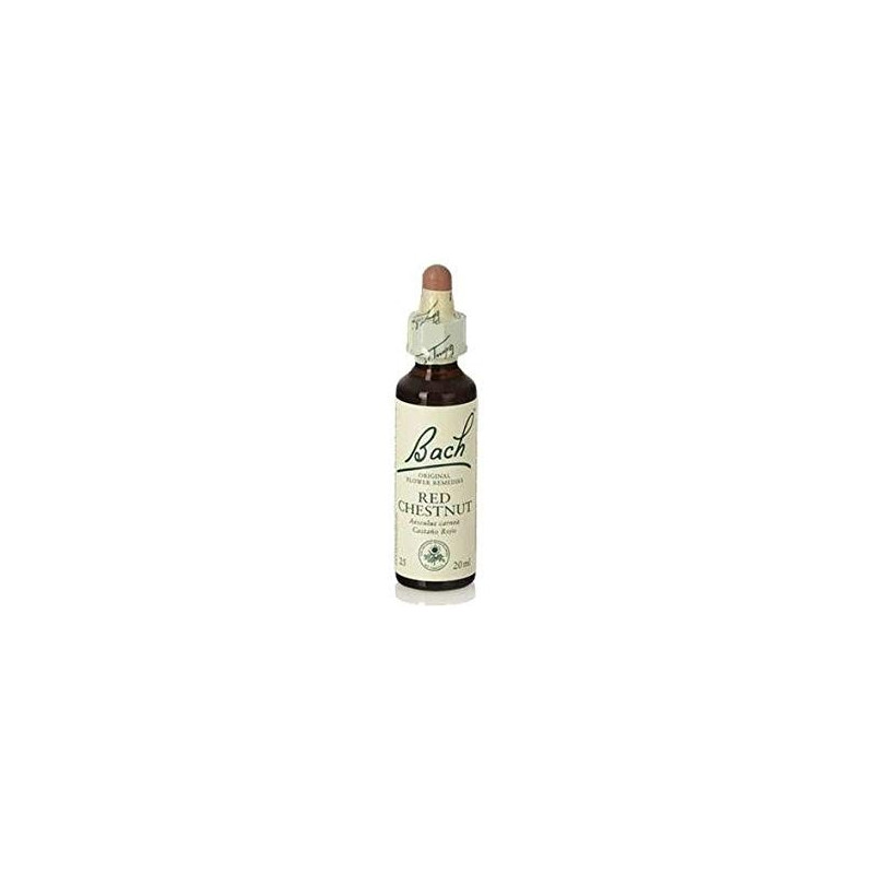 CHESNUT BUD FLOR BACH 20 ML