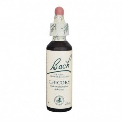 CHICORY FLOR BACH 20ML