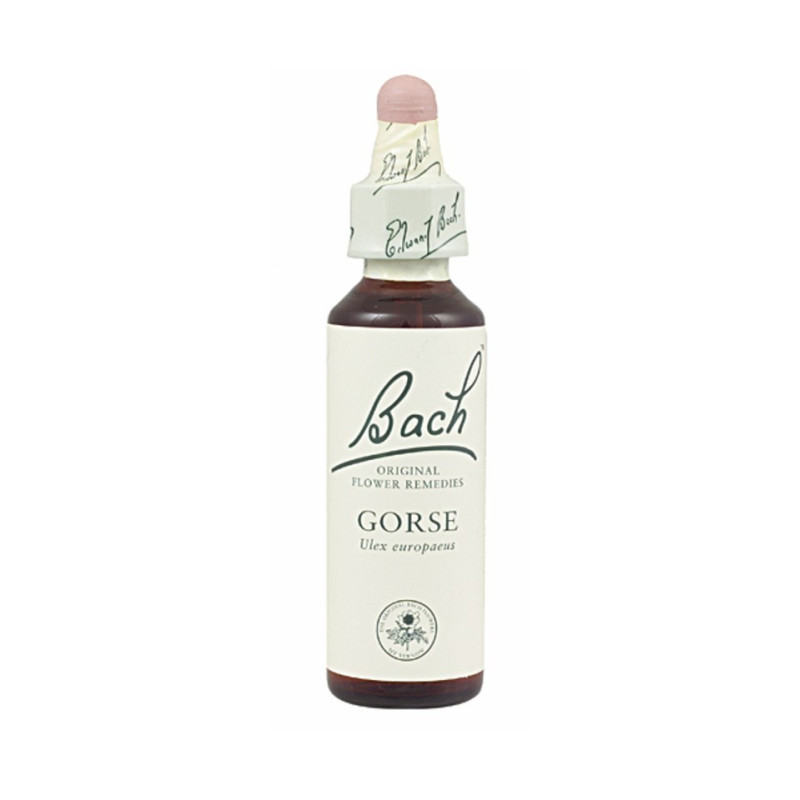 GORSE FLOR BACH 20 ML