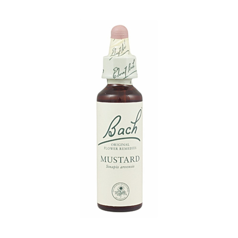 MUSTARD FLOR BACH 21 20ML