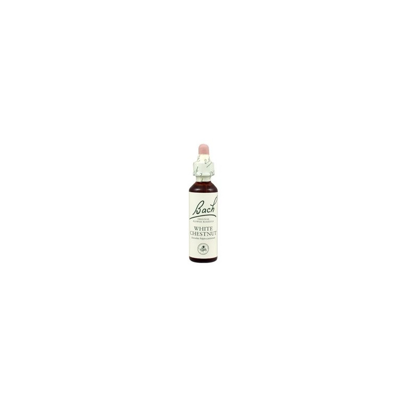 WHITE CHESNUT FLOR BACH 20ML
