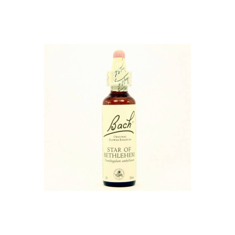 STAR OF BETHLEHEM FLOR BACH 20ML