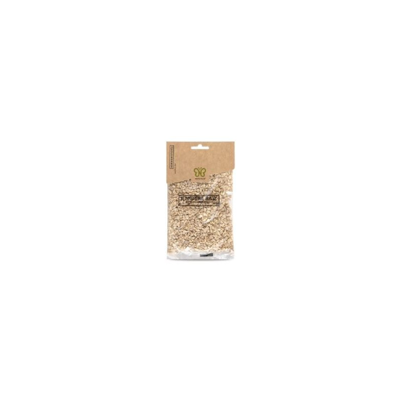 JENGIBRE RAIZ 75GR (Naturcid)
