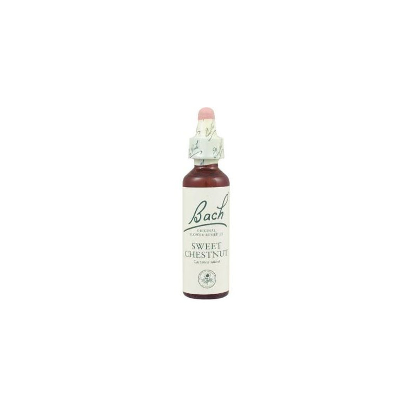 SWEET CHESNUT FLOR BACH 20ML