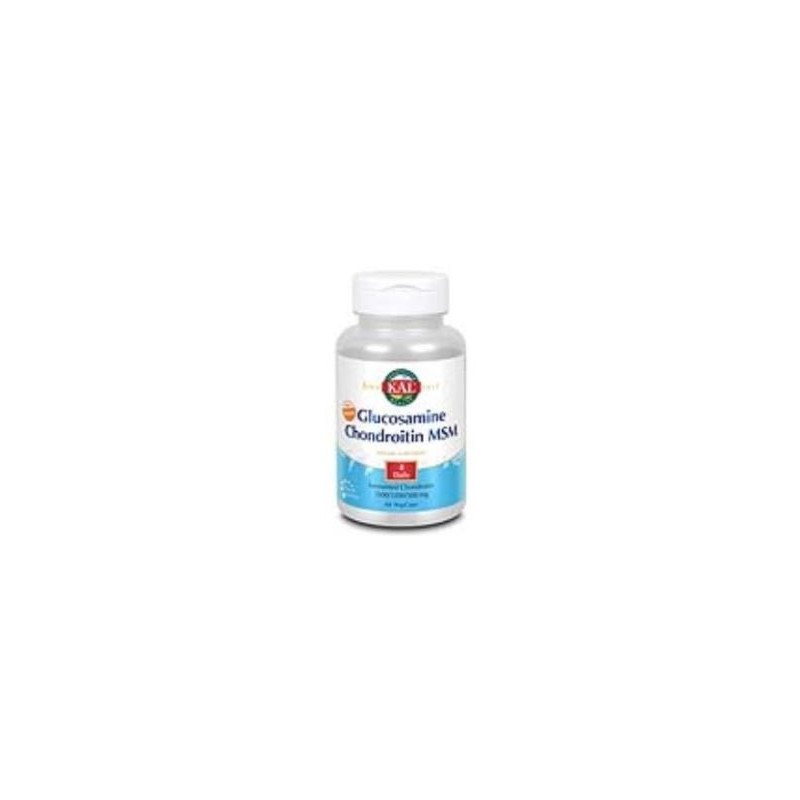 GLUCOSAM CONDROITINA MSM 60 CAP