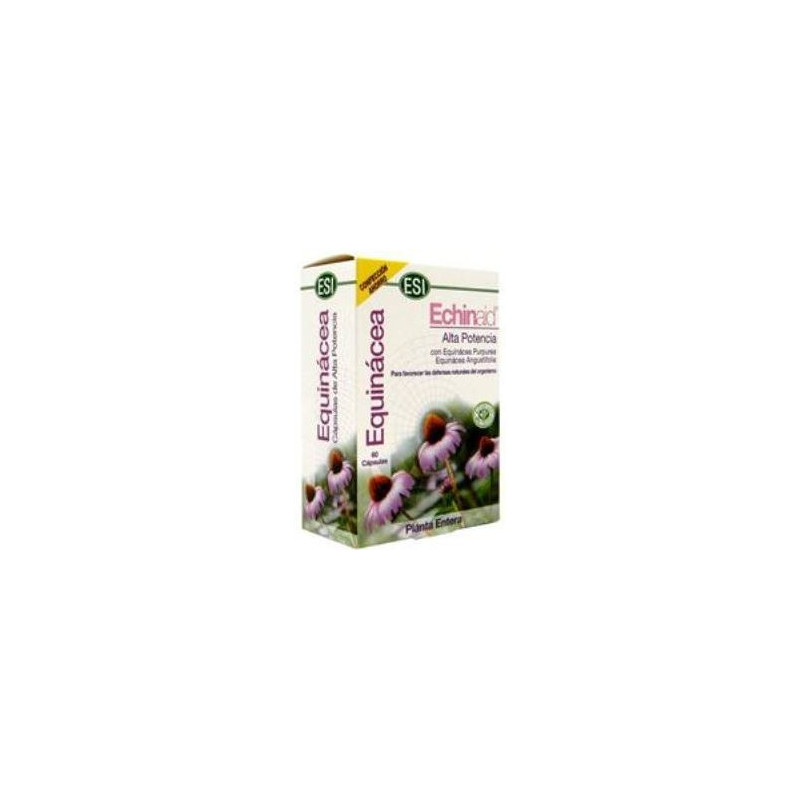 ECHINAID 60CAP